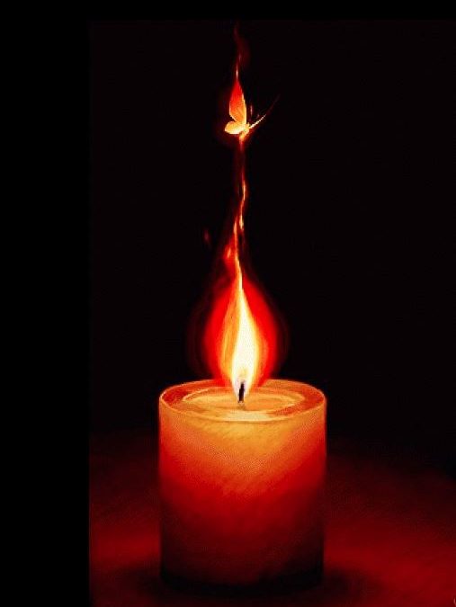The Moth And The Flame